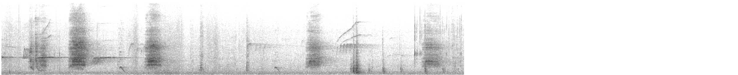 White-throated Magpie-Jay - ML641614706