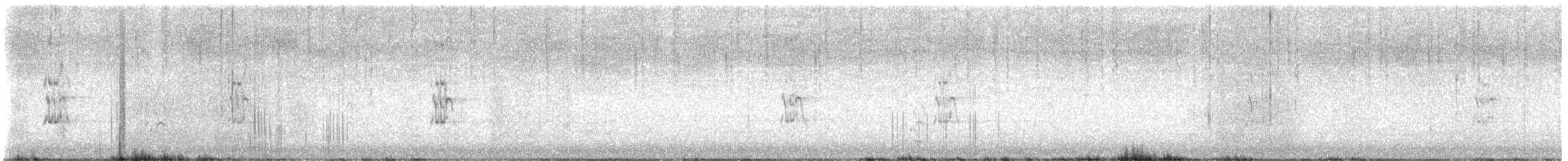 サンドイッチアジサシ（acuflavidus） - ML641614907