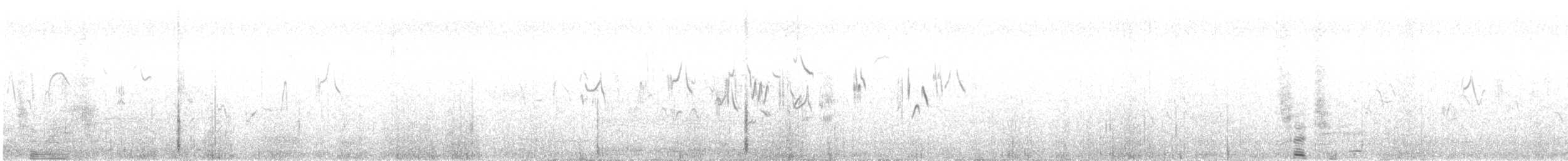 Tuntun paparbeltza - ML641615280