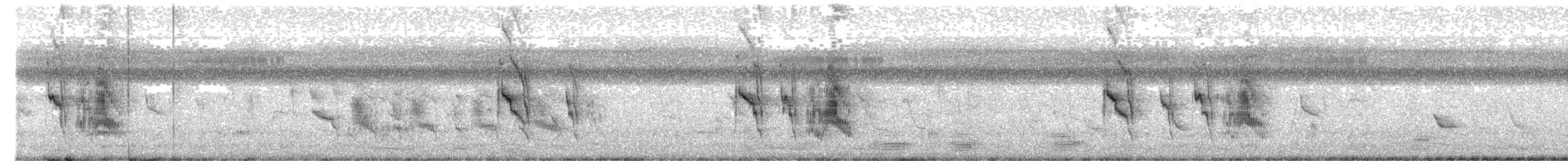 Social Flycatcher - ML641615332