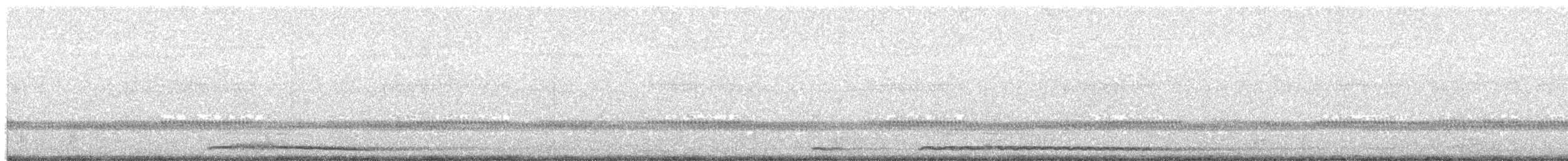 kattugle - ML641615553