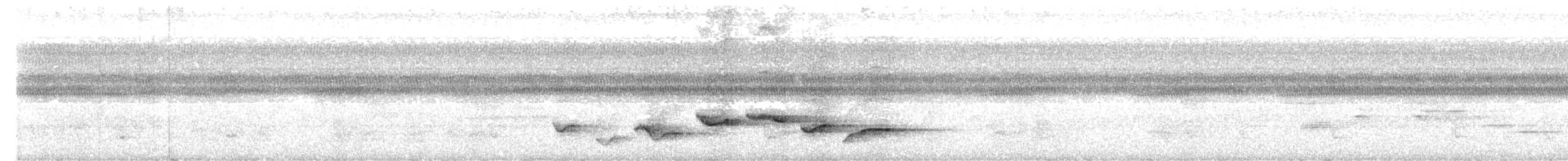 チャパスハシナガミソサザイ - ML641617035
