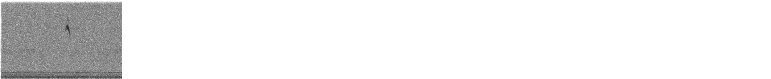 Cape May Warbler - ML641618592