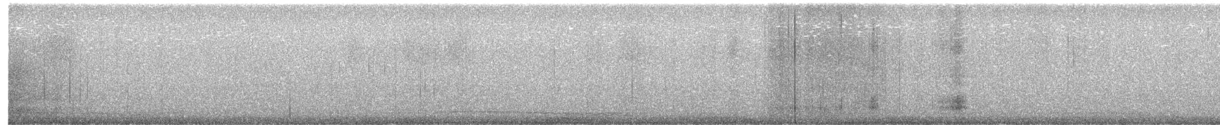 Eastern Screech-Owl - ML641618992