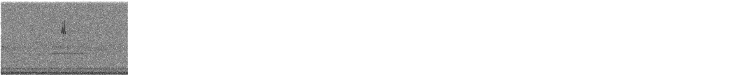 new world warbler sp. - ML641619681