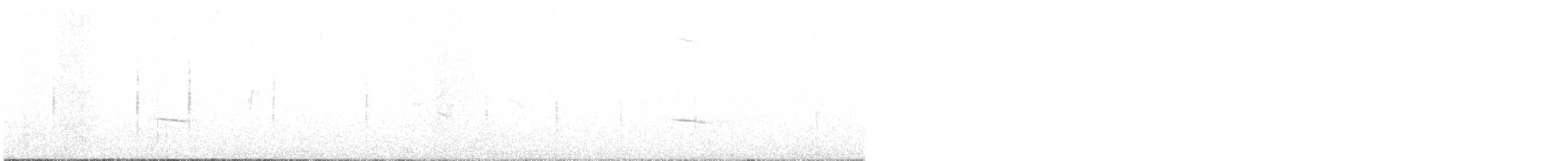 hýl obecný - ML641621244