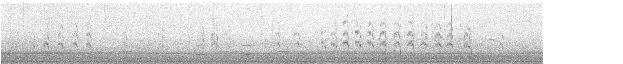 Forster's Tern - ML641621247