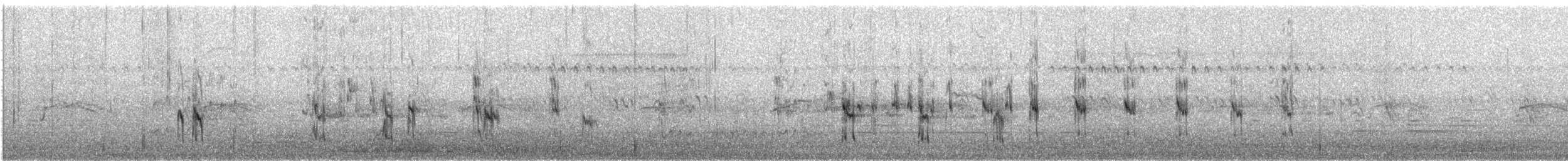 Semipalmated Sandpiper - ML641621333