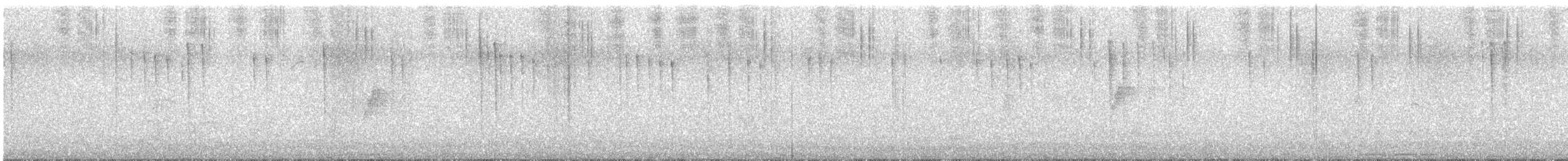 kalypta duhovohrdlá - ML641621605