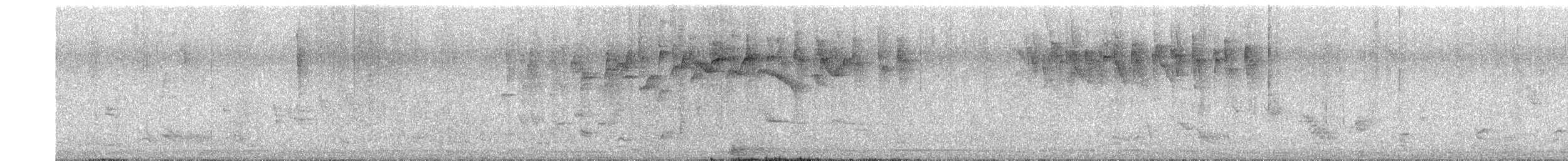Cinereous Conebill - ML641621657