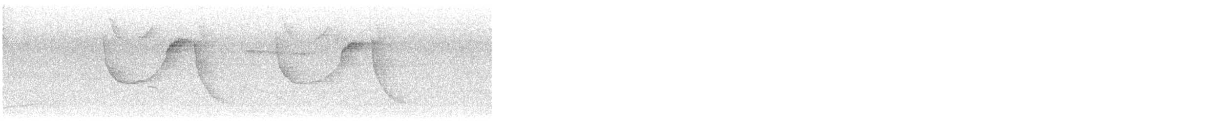 Storno nero - ML641624799