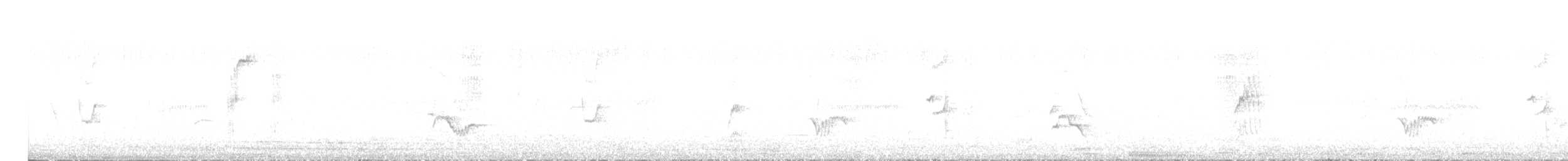 Austral Thrush - ML641625134