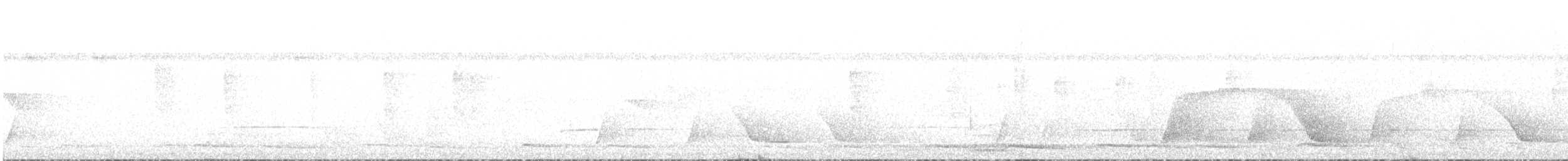 Piauhau hurleur - ML641627048