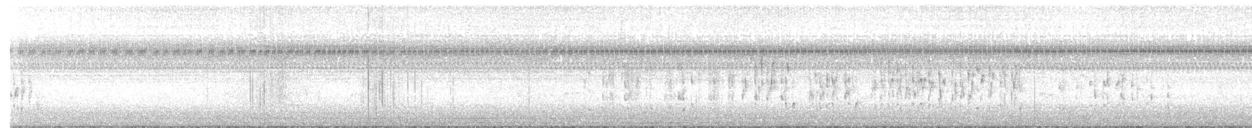 ハシナガヌマミソサザイ - ML641627893