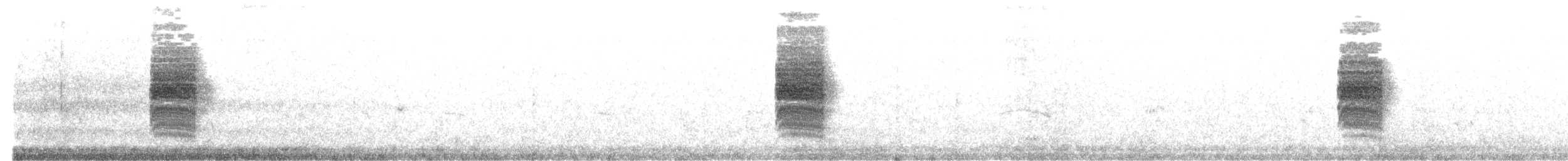 Bewick's Wren - ML641629036