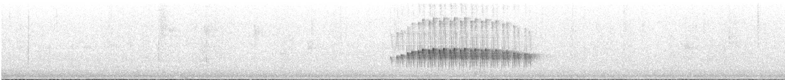 Scalloped Antbird - ML641629053