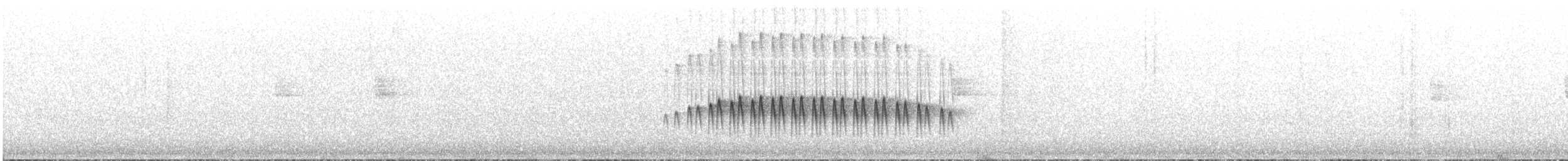 Scalloped Antbird - ML641629055