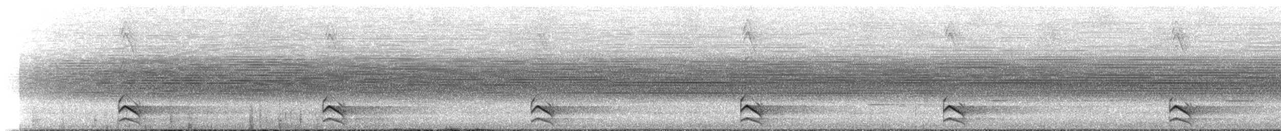 Barred Forest-Falcon - ML641629174