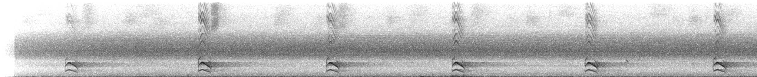 Barred Forest-Falcon - ML641629191