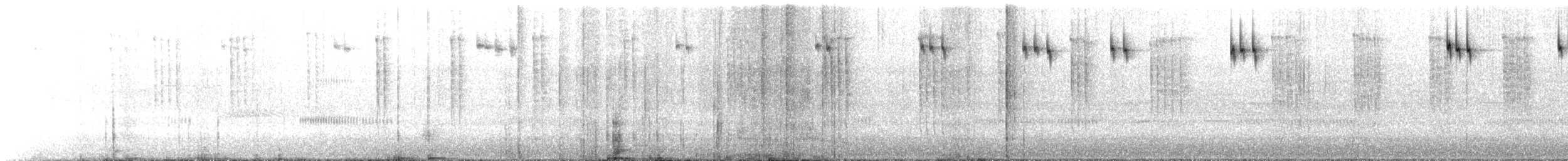 White-eared Hummingbird - ML641629968