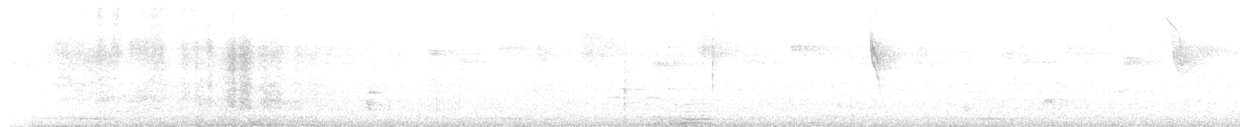 Ruddy Pigeon - ML641630161