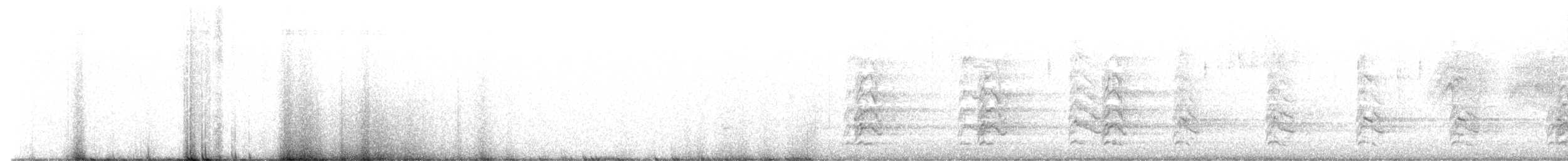 カタアカノスリ（elegans） - ML641630641