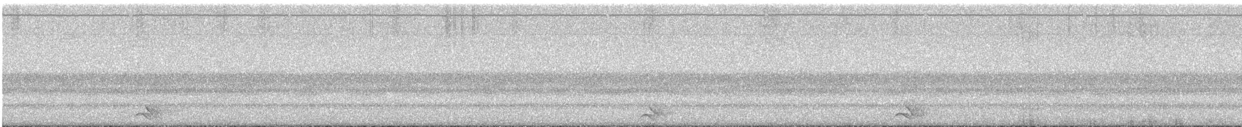 Eastern Screech-Owl - ML641630685