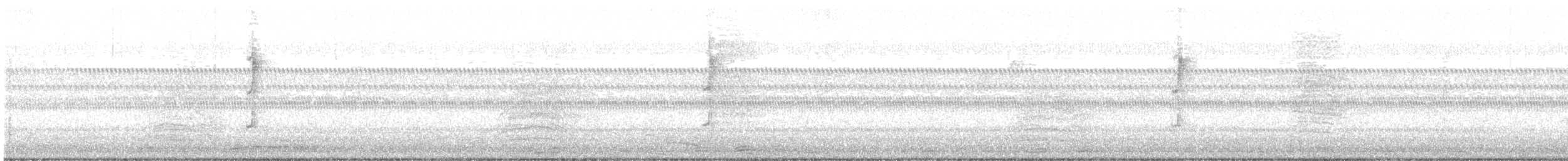 Connecticut Warbler - ML641630853