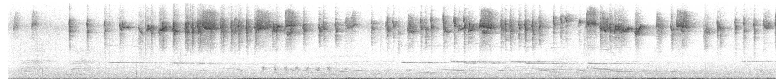 Striated Thornbill - ML641630901
