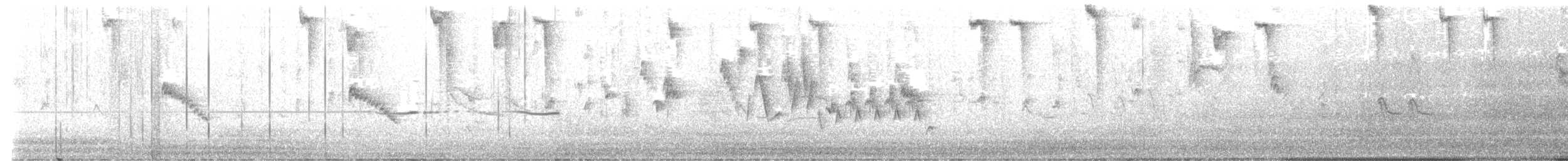 Northern House Wren (Brown-throated) - ML641631426