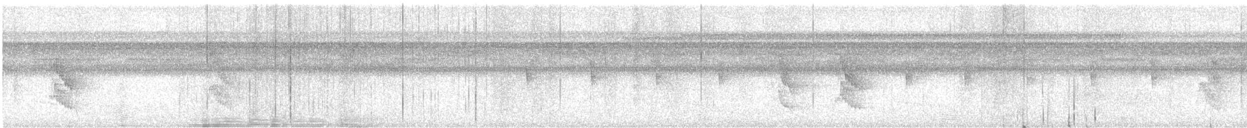 White-bearded Manakin - ML641631633