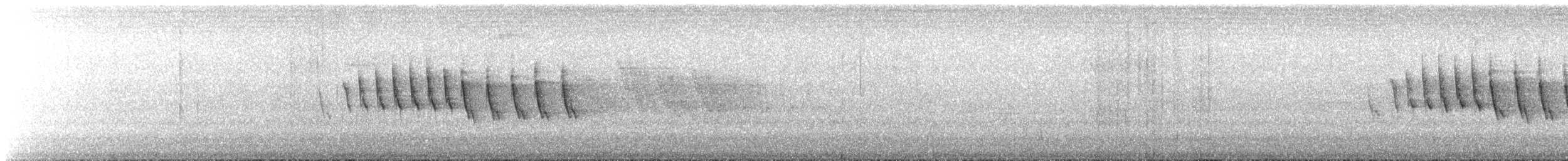 Grace's Warbler - ML641632015