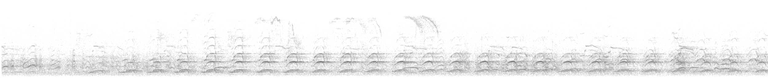 Goéland d'Audubon - ML641632138