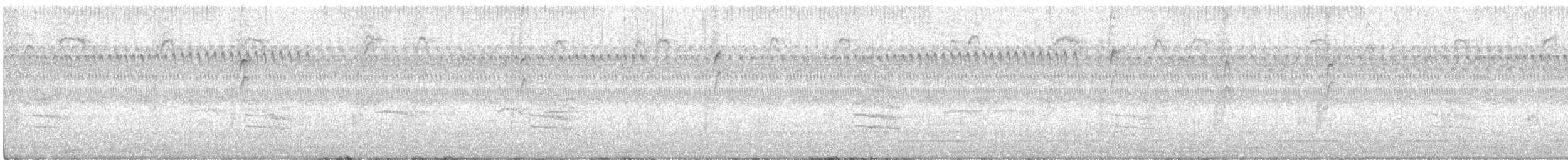 Carolina Wren - ML641632265