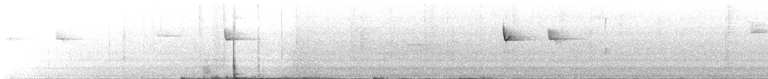 キメジロハエトリ - ML641632654