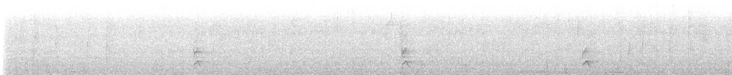 Swallow-tailed Manakin - ML641634897