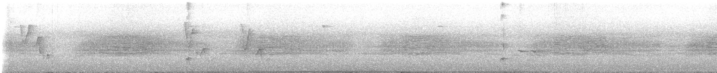 ムジミソサザイ - ML641635397