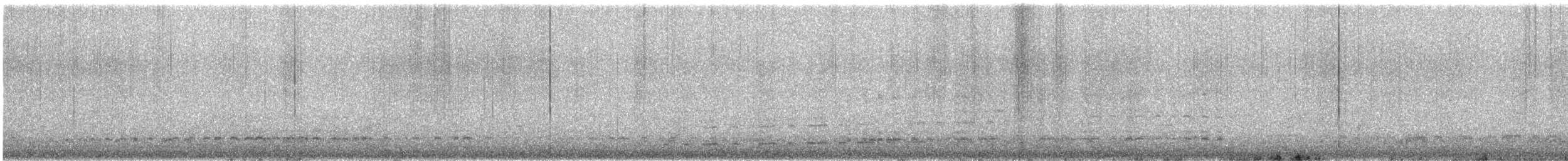 Magellanic Snipe - ML641635404