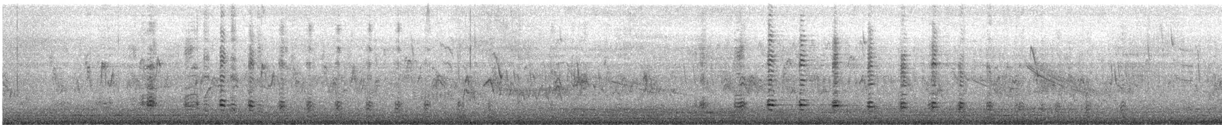 Bandurria Austral - ML641636512