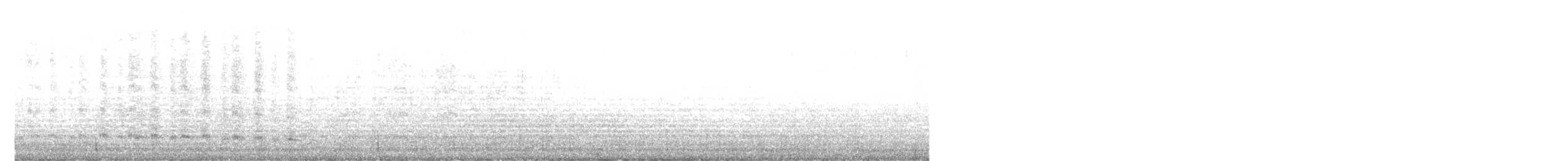 Magellanic Snipe - ML641636553