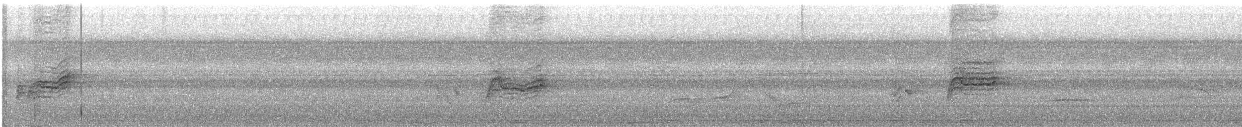 Whitehead's Spiderhunter - ML641636984