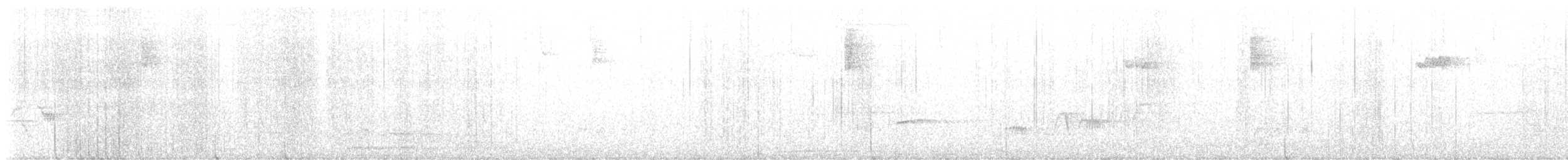 Tordo di Swainson - ML641637456