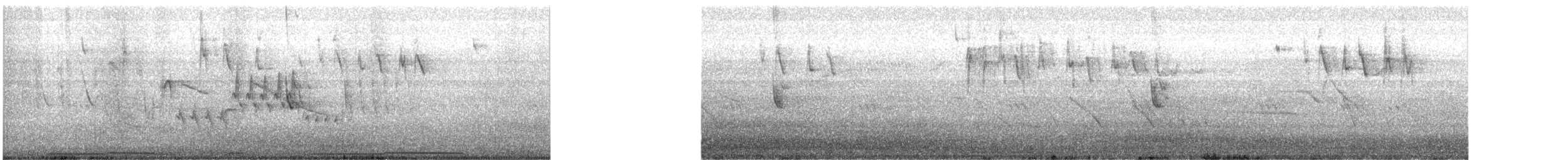 Cinereous Conebill - ML641638352