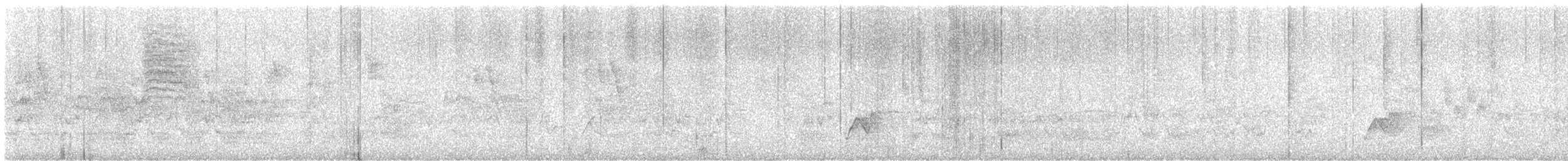 Southern House Wren - ML641639568