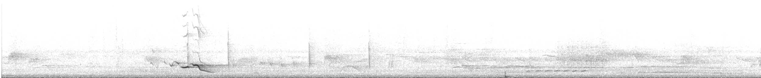コウライウグイス - ML641640727