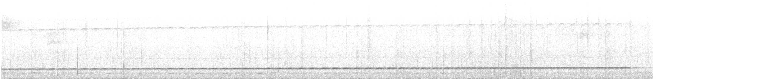 Such's Antthrush - ML641640896