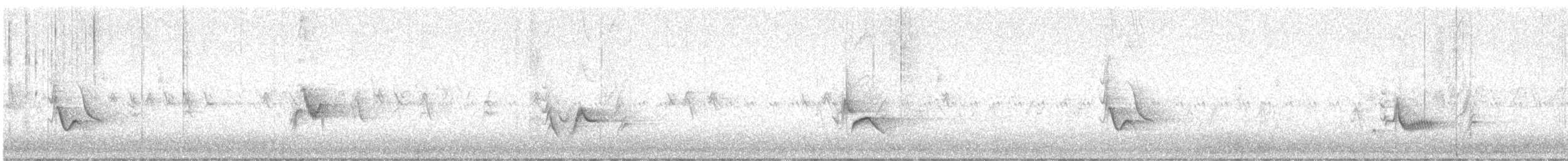Plumbeous Vireo - ML641641004