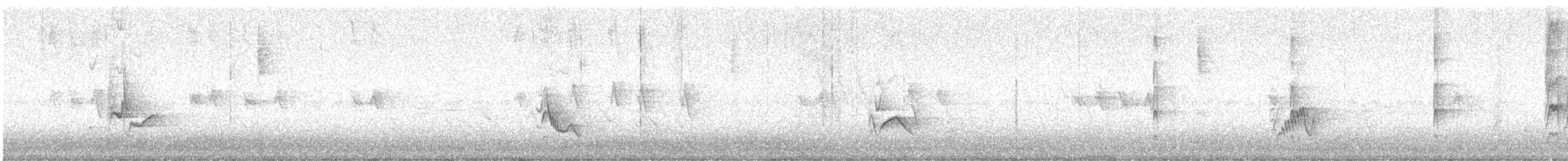 Plumbeous Vireo - ML641641005