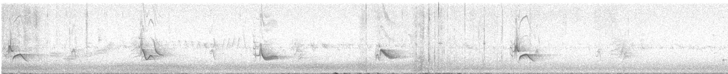 Plumbeous Vireo - ML641641007