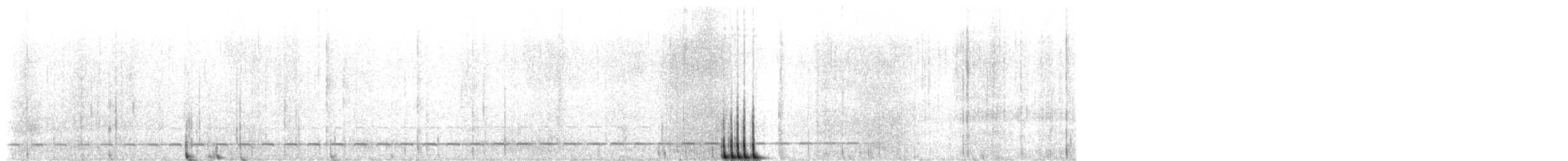 Such's Antthrush - ML641641462